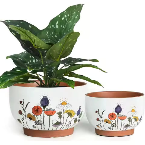 Terracotta Pot 14"