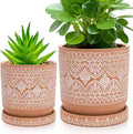 Terracotta Pot 10"