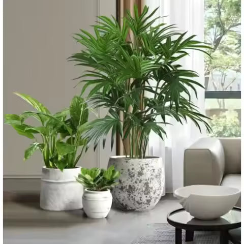 Self-Watering Planter 12"