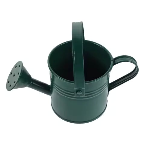 Galvanated Watering Can 1L